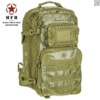 Tactical MOLLE Backpack Olive [30L]